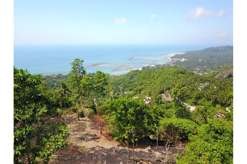 ขายที่ดินเปล่า, หาดละไม